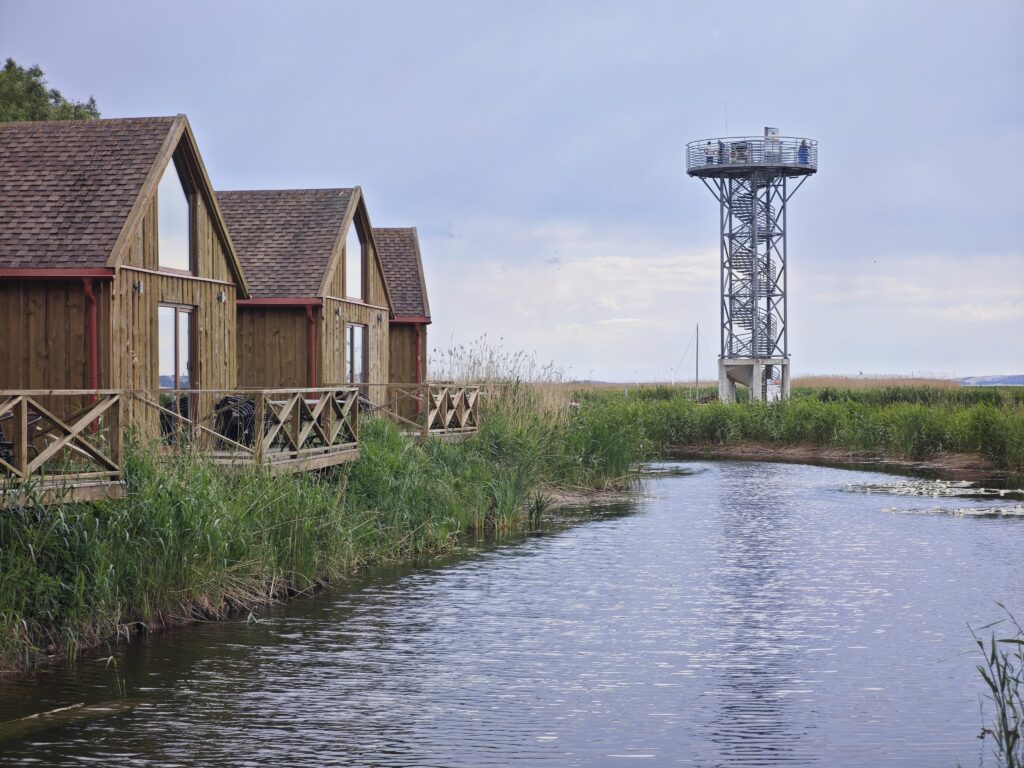 Kurisches Haff in Dreverna mit dem besonderen Aussichtsturm