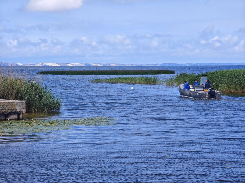 Kurisches Haff nahe Rusnė - hier fließt das meiste Wasser ins Haff