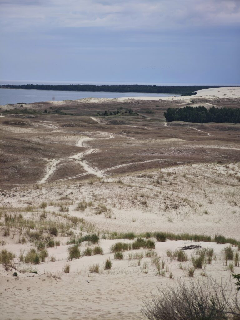 Die Parnidis-Düne im Nationalpark Kurische Nehrung
