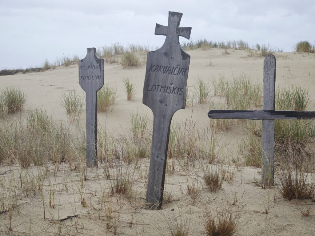 Die Tote Düne im Nationalpark Kurische Nehrung