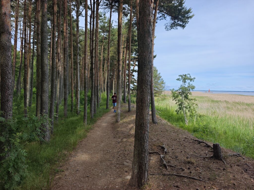 Pervalka