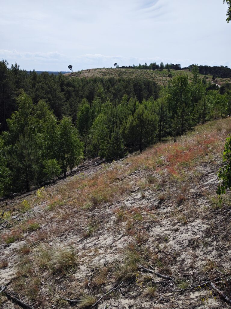 Aussicht von der Preila Düne