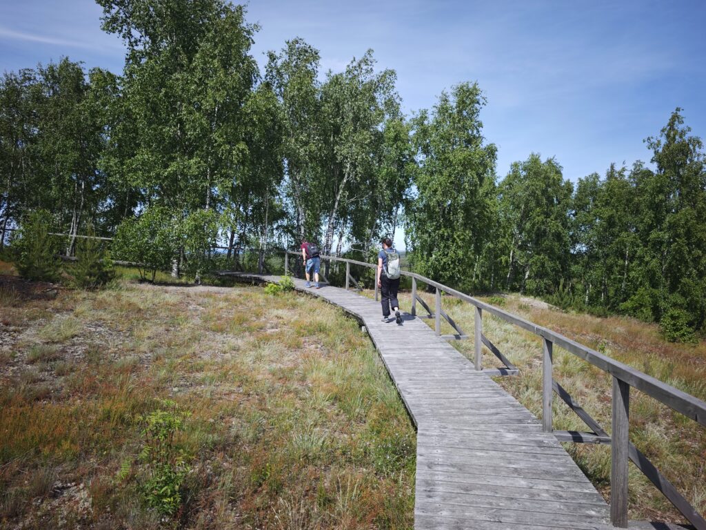 Auf der Preila Düne wandern