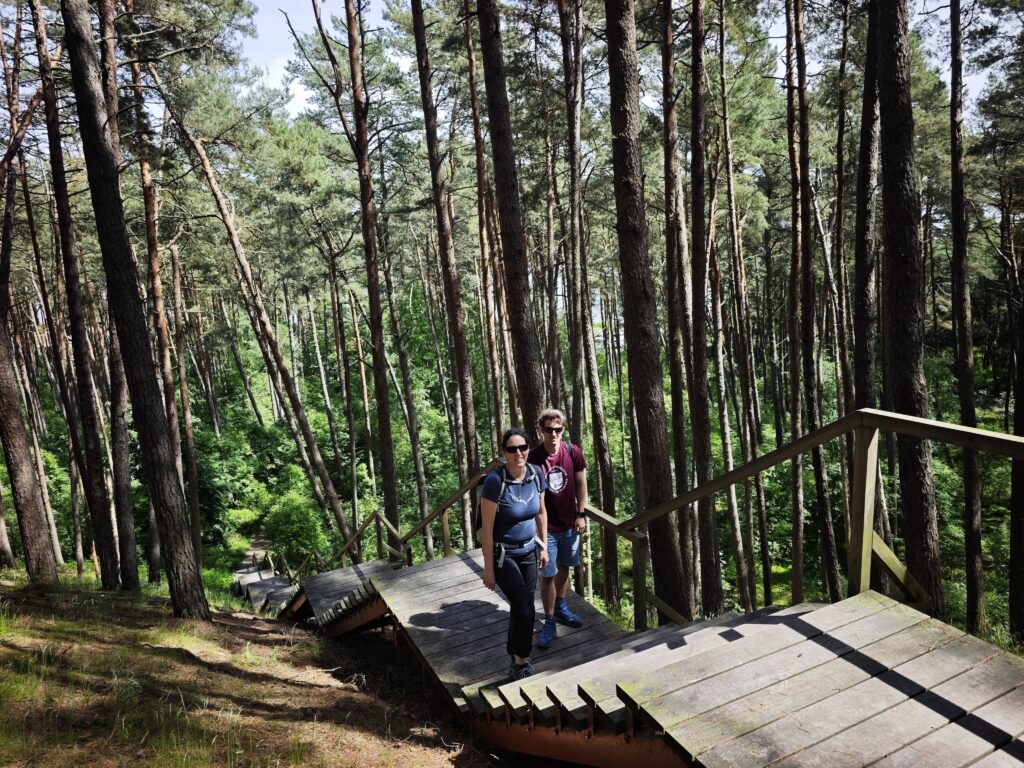 Holztreppen führen von Preila hinauf zur Künstlerdüne