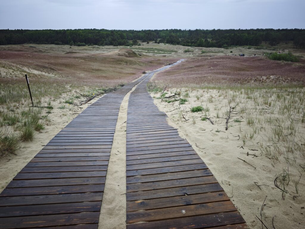 Der Nagliai-Lehrpfad führt auf einem Holzbohlenweg durch die Tote Düne